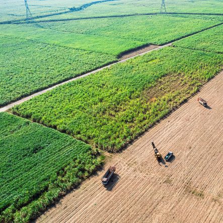 Agricultural products